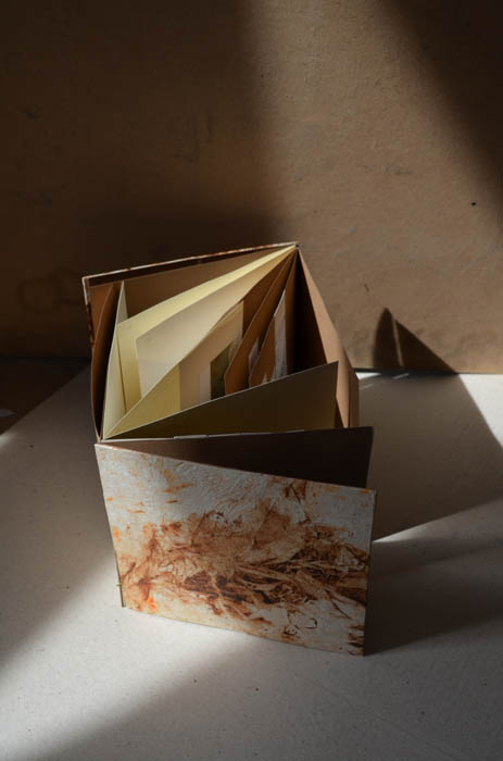 Csala Hermina, Dante-Pokol, artist book, aquaforte, 2011