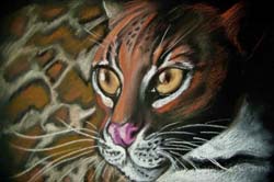 Tapaszi Andrea_Leopard_pasztel_30x40cm_2010